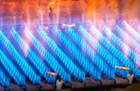 Fersit gas fired boilers